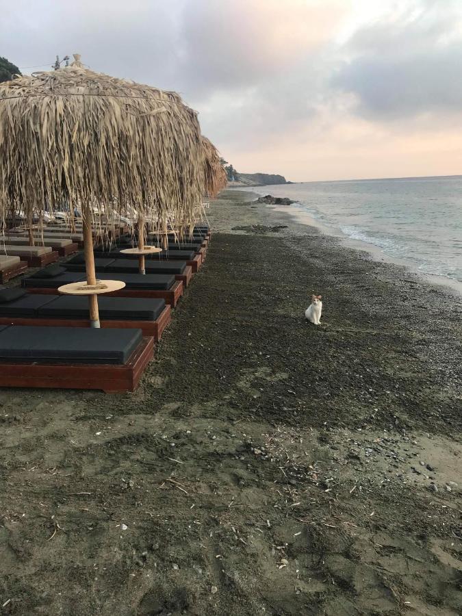 La Playa Boutique Apartments Myrties エクステリア 写真